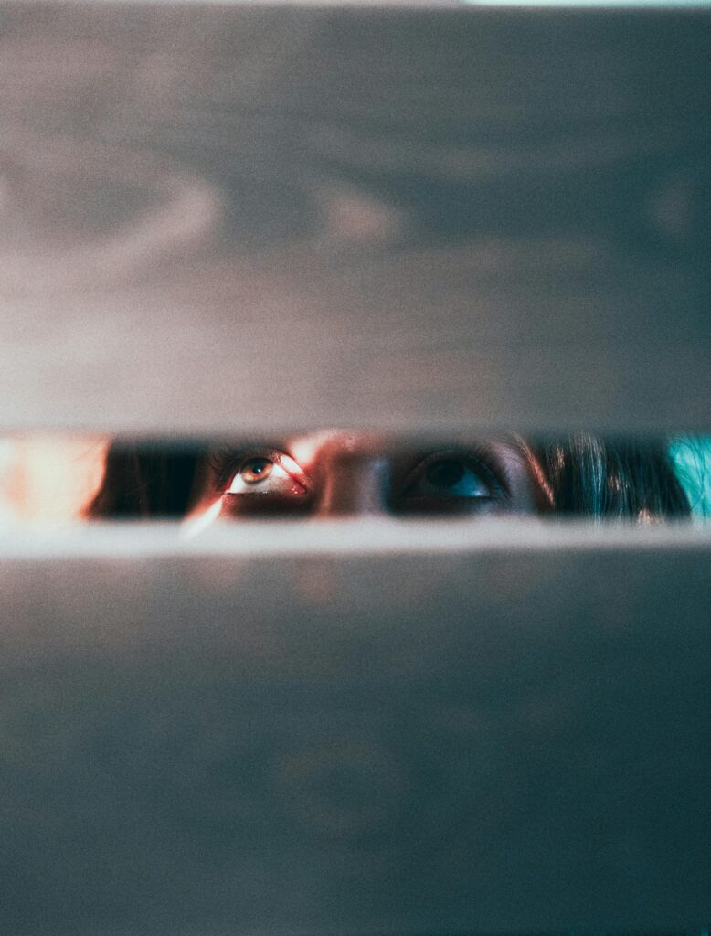 Our Vicious Lies et la thématique de l'espionnage