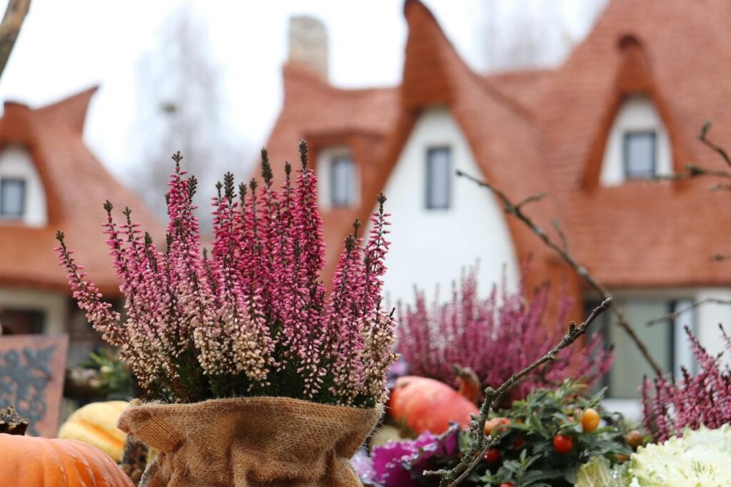 La vibe automne dans les livres