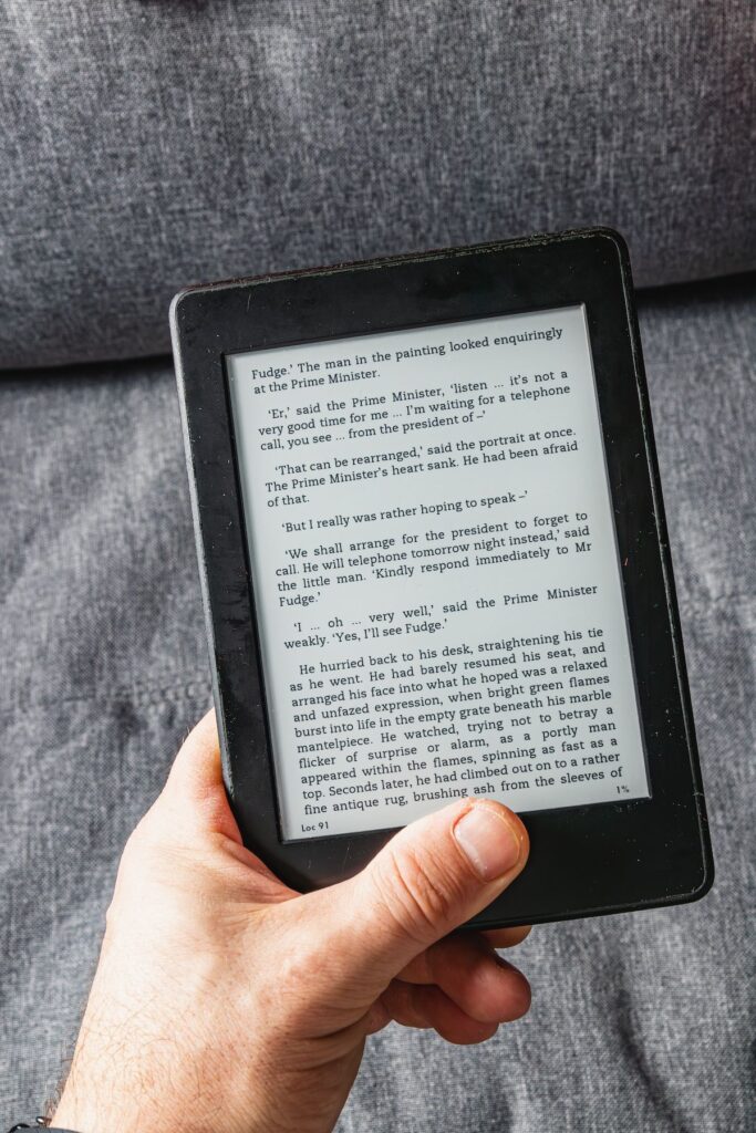 Inclusivité et livres numériques